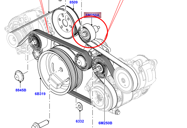 LR022953sh